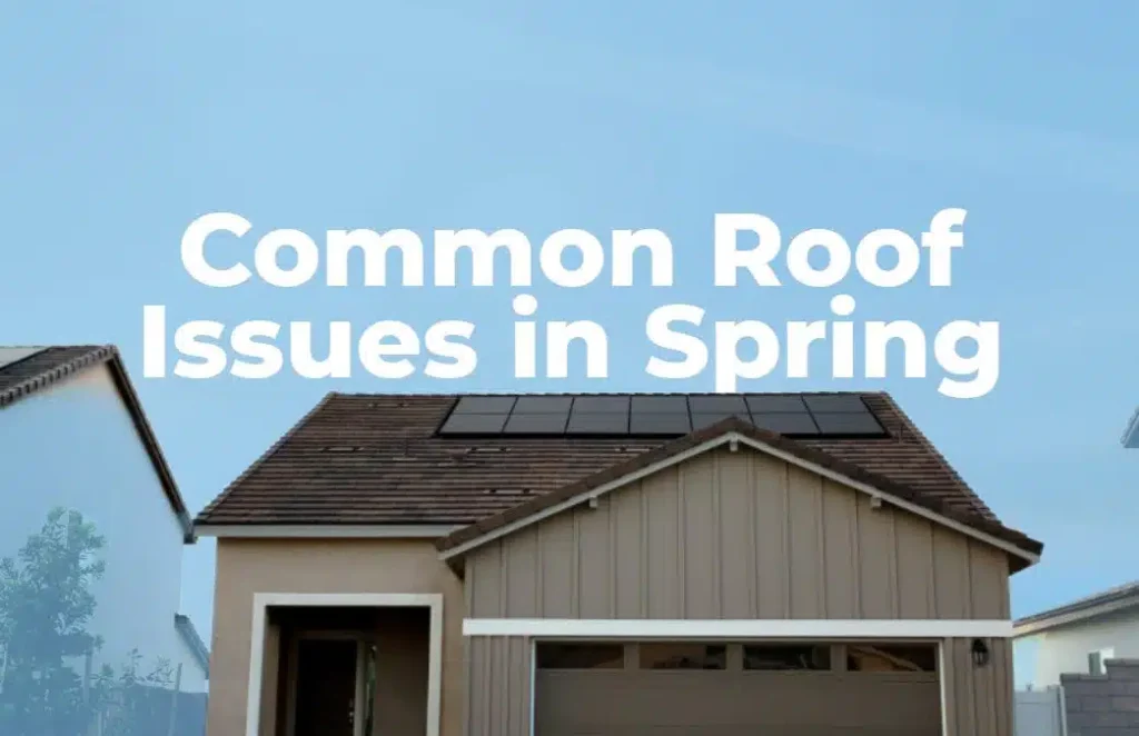 Common Roof Issues