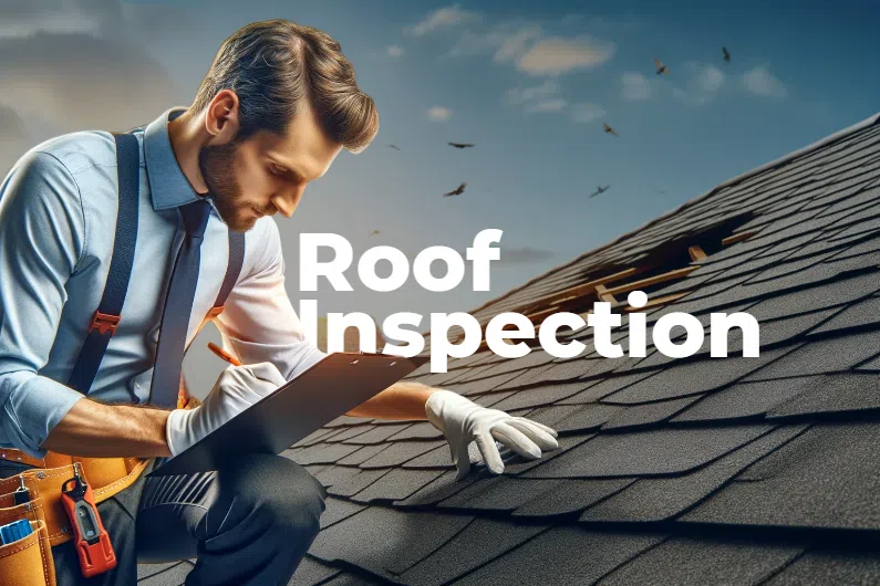 Roof Inspection