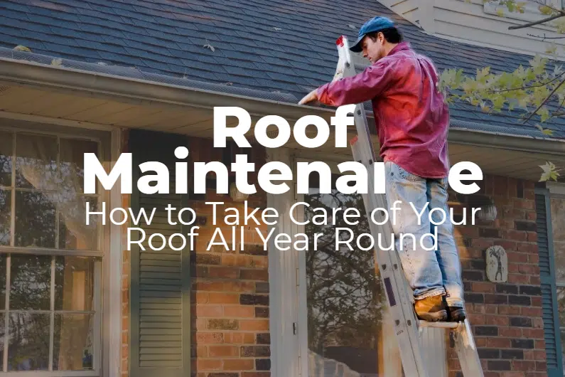 Roof Maintenance